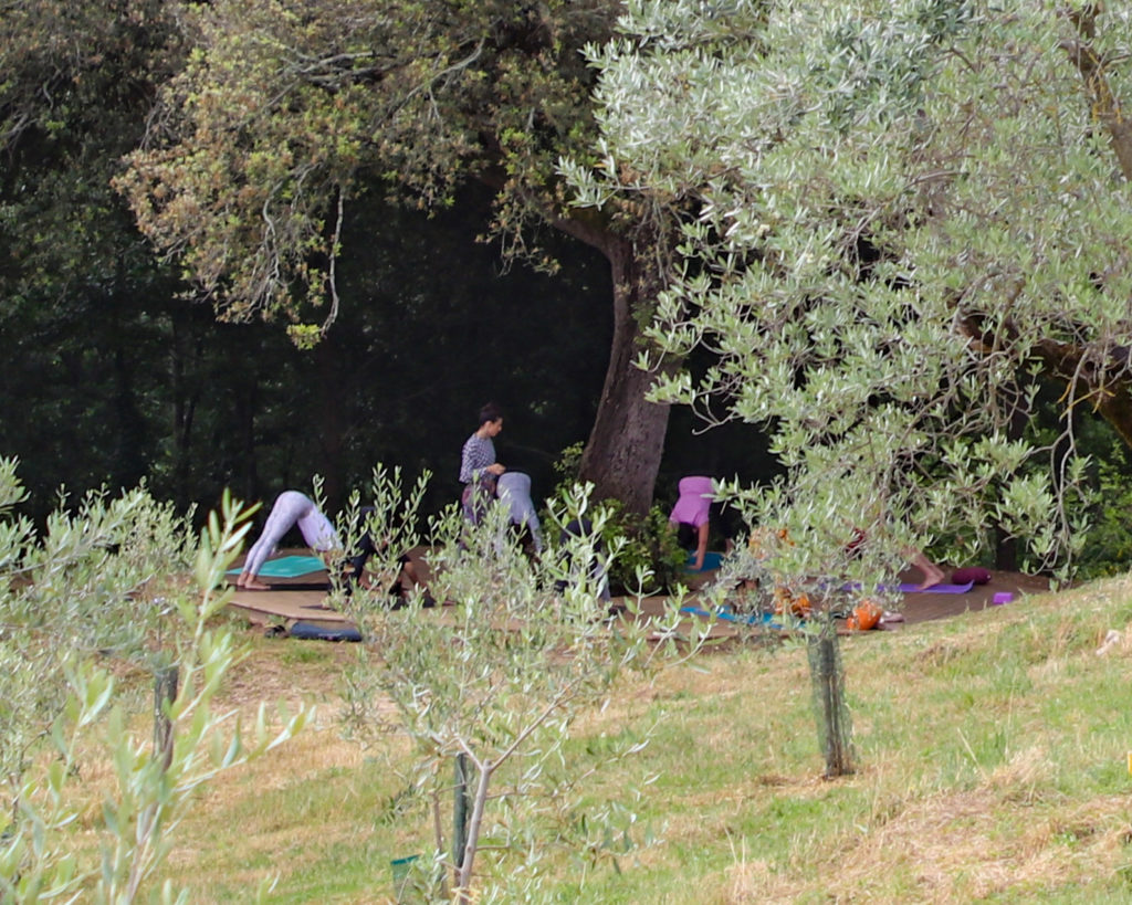 Yoga with Martina at Podere Trafonti