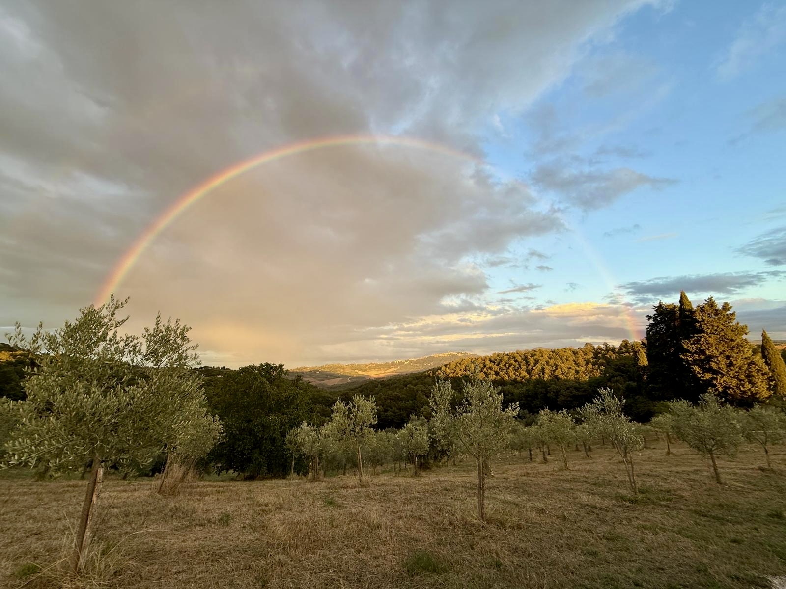 a0d1e327-9008-4f41-8ec8-50435c5a49bf