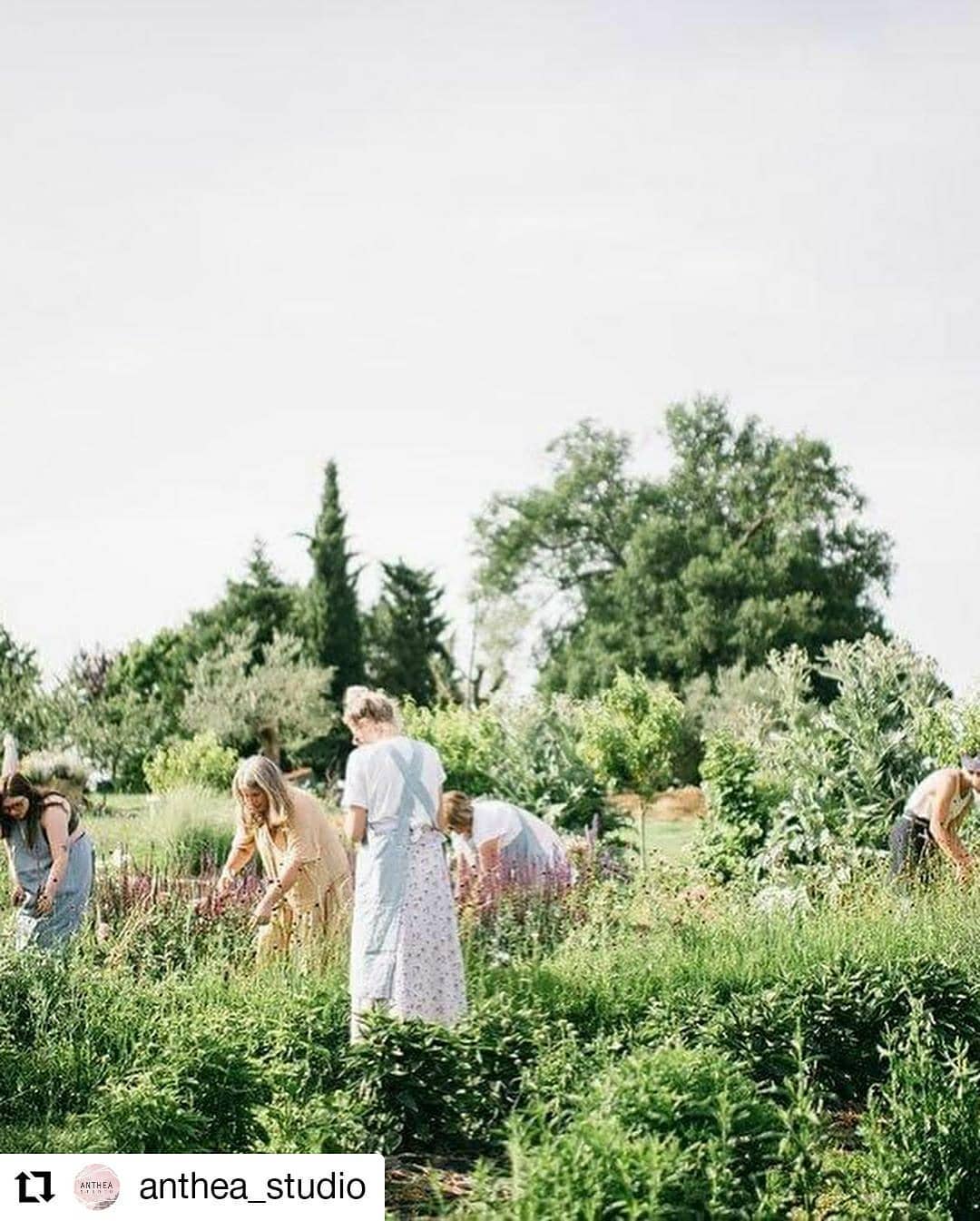 puscina-floreale-giardino-3