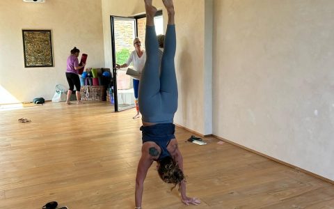 0d35569a-6339-4f85-b89a-641aceb01910