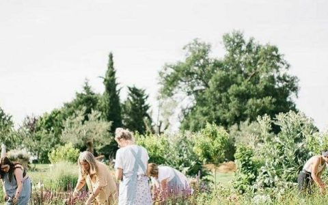 puscina-floreale-giardino-3